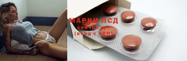твердый Арсеньев