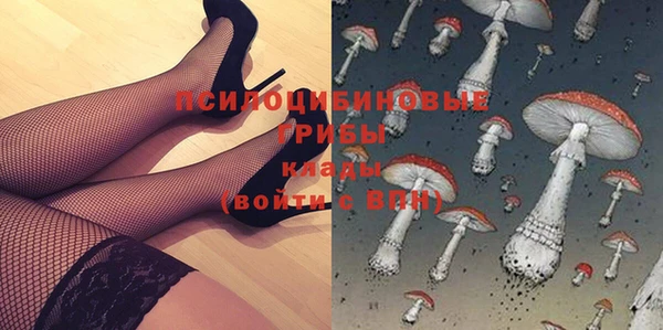 прущий лед Аркадак