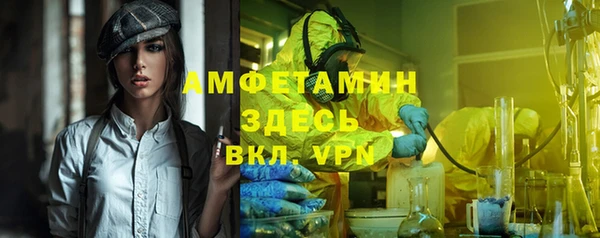 твердый Арсеньев